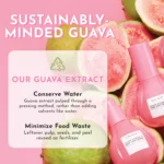 Glow Recipe Guava Vitamin C Serum for Sensitive Skin - Moisturizing, Brightening & Vegan Korean Skin Care Face Serum for Dark Spots, Even Tone & Redness - Tranexamic, Ferulic Acid & Vitamin E (30ml) - Image 3